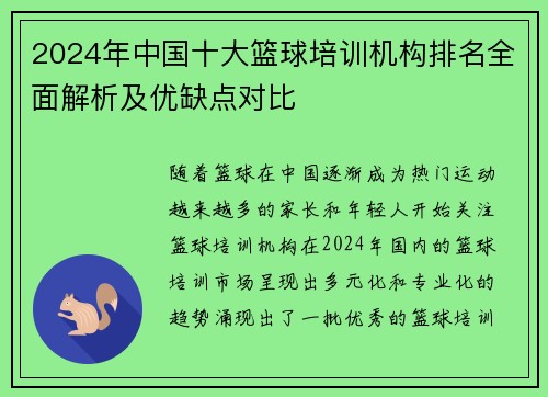 2024年中国十大篮球培训机构排名全面解析及优缺点对比