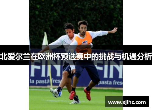 北爱尔兰在欧洲杯预选赛中的挑战与机遇分析