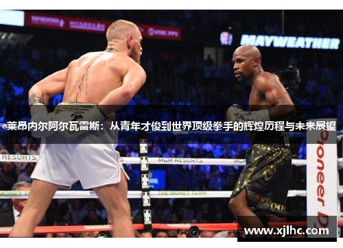 莱昂内尔阿尔瓦雷斯：从青年才俊到世界顶级拳手的辉煌历程与未来展望